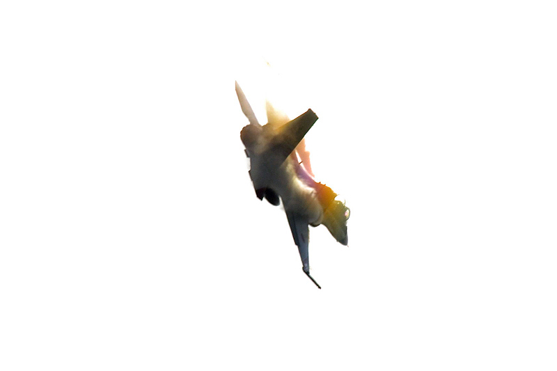 image0325