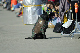 image0180