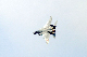 image0197