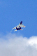 image0210