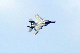 image0223