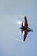 image0336