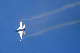 image0349