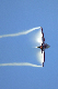 image0357
