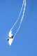 image0364