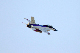 image0392