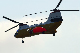image0394