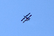 image0446