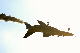 image0549
