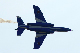 image0561