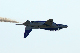 image0579