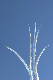image0690
