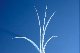 image0691