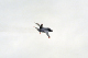 image0118