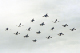 image0129