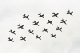 image0130