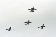 image0131