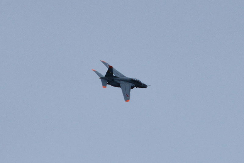 image0131
