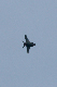 image0608