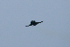 image0631