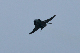 image0634