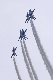 image0144