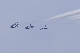image0198