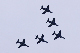 image0237