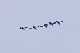 image0244