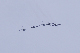 image0245