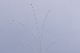 image0251