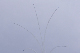 image0252