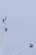 image0269