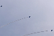 image0275