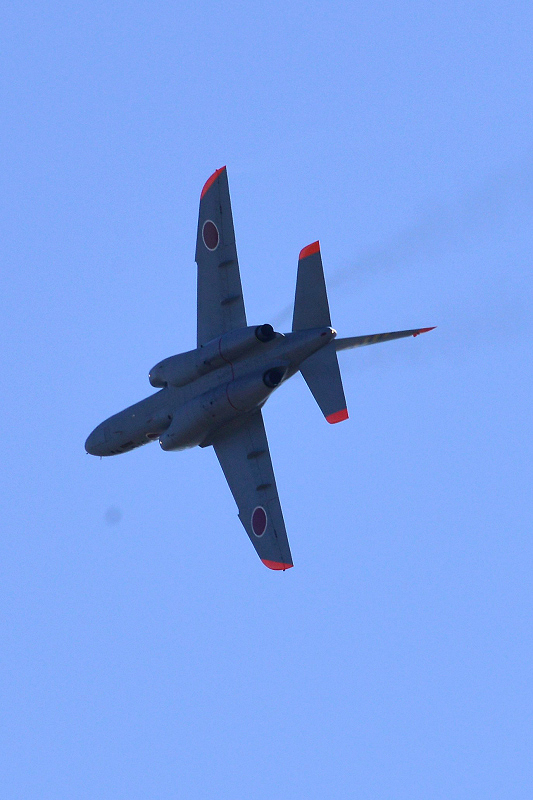 image0695