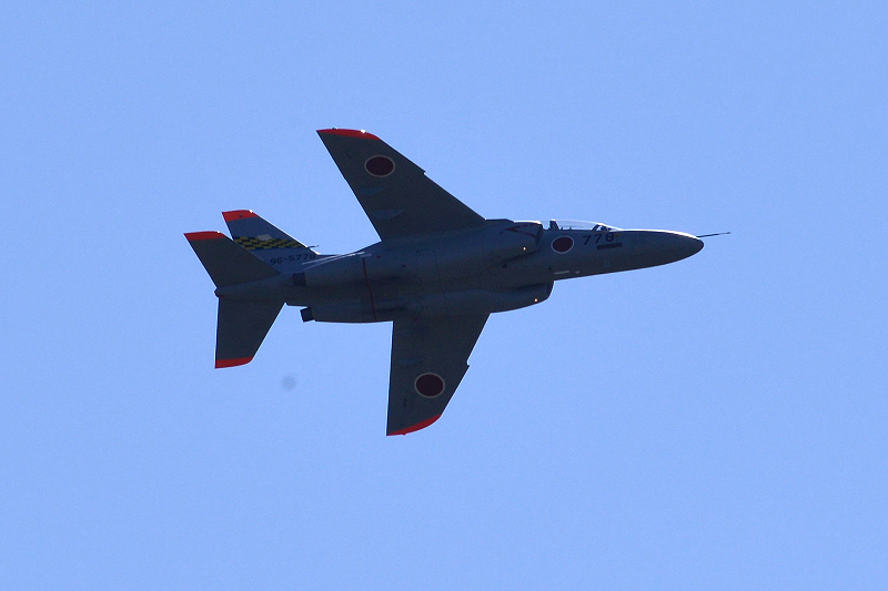 image0739