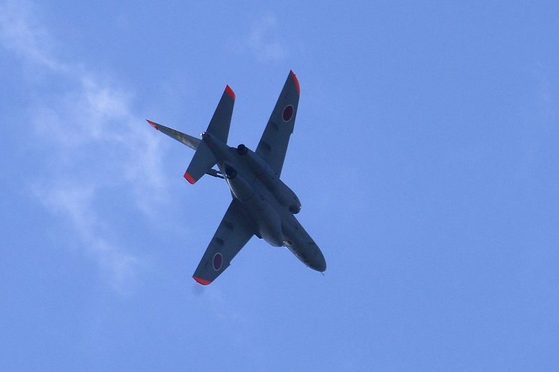 image0790
