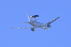 image0139