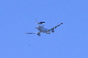 image0155