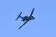 image0169