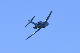 image0170