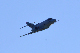 image0188