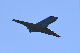 image0190