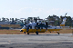 image0256