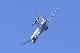 image0293