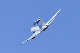 image0345