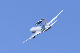 image0347