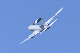 image0442