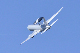 image0443
