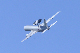 image0446